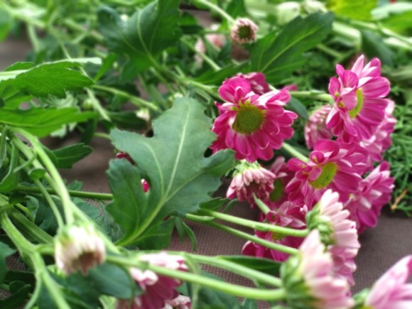 s_IMG_20180915_170706