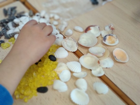 s_img_20190118_160243