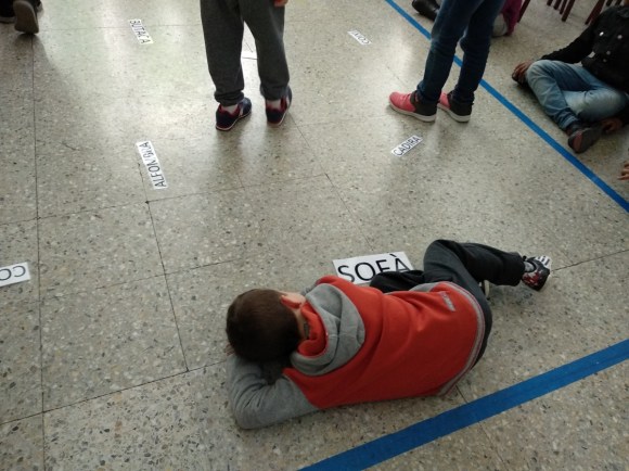 s_img_20190125_154416